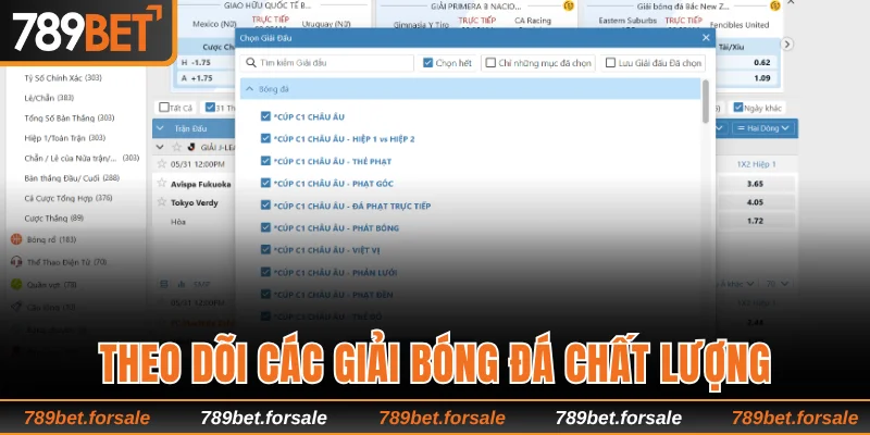 Theo dõi các giải bóng đá chất lượng