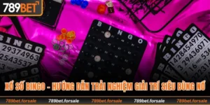 Xổ số Bingo